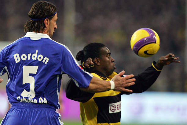 疑将是全世 疑将是全世